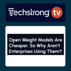 Open Weight Models Are Cheaper, So Why Aren’t Enterprises Using Them?